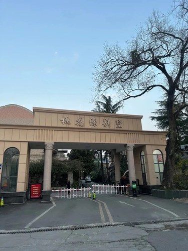 猫都有别墅住…我也想做猫了[笑哭]