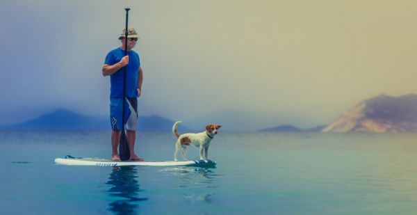 Bonding is critical to successful pet training