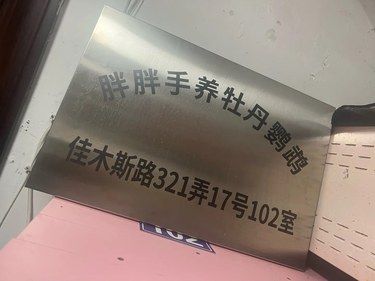 养鹦鹉会上头