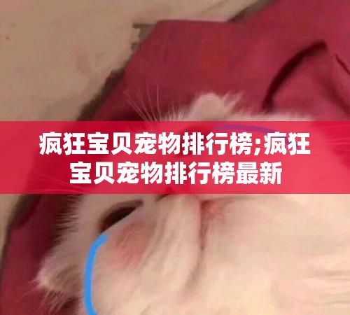 疯狂宝贝宠物排行榜;疯狂宝贝宠物排行榜最新