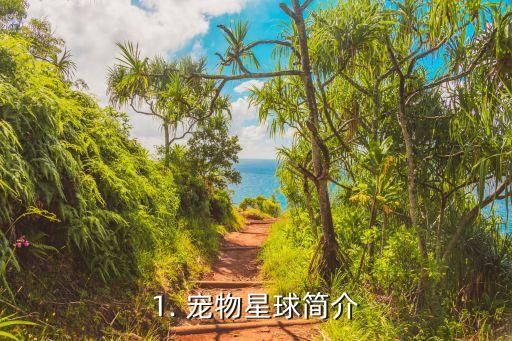 1. 宠物星球简介