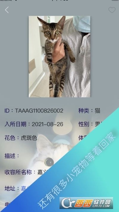 动物星球(宠物领养)