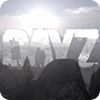 DAYZ