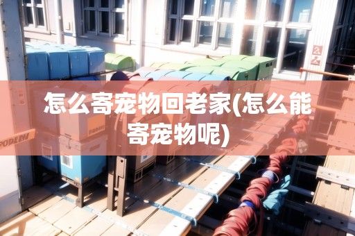 怎么寄宠物回老家(怎么能寄宠物呢)