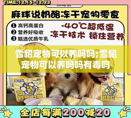 雪貂宠物可以养吗吗;雪貂宠物可以养吗吗有毒吗