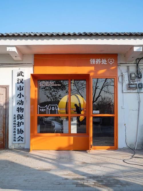 如东附近宠物收容中心的简单介绍