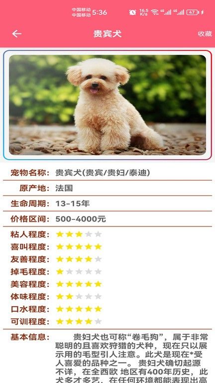 宠物宝宝大全app v1.008 安卓版 4