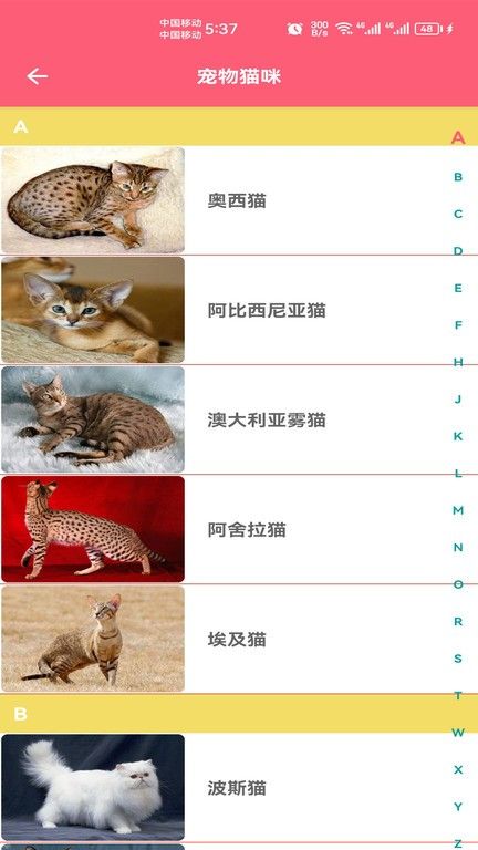 宠物宝宝大全app v1.008 安卓版 3