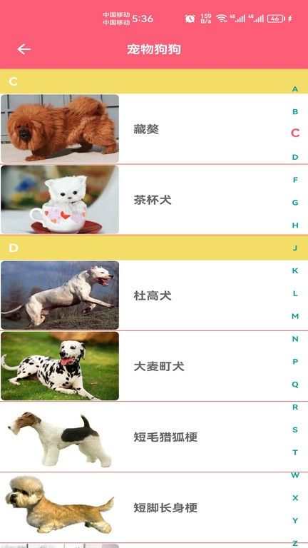 宠物宝宝大全app v1.008 安卓版 1