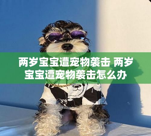 两岁宝宝遭宠物袭击 两岁宝宝遭宠物袭击怎么办