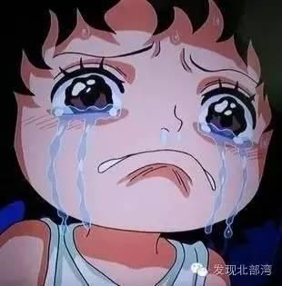 养龟如炒股，名龟价格断崖式下跌，销路都在圈内