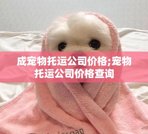 成宠物托运公司价格;宠物托运公司价格查询