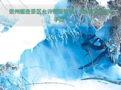 贵州哪些景区允许带宠物狗？如何办理相关手续？