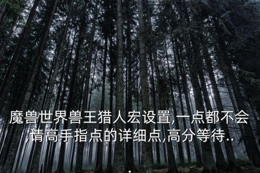魔兽世界兽王猎人宏设置,一点都不会,请高手指点的详细点,高分等待...
