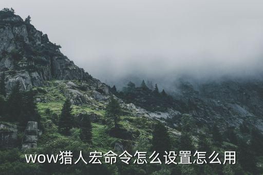 wow猎人宏命令怎么设置怎么用