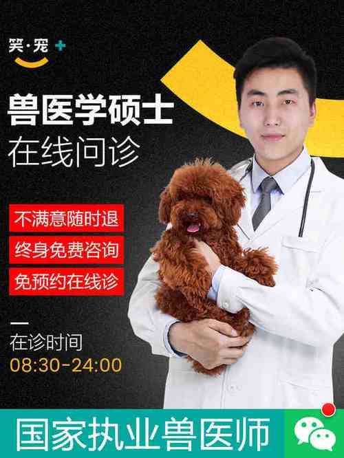 宠物医生在免费咨询,宠物医生免费咨询在线咨询