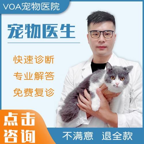 宠物医生在免费咨询,宠物医生免费咨询在线咨询