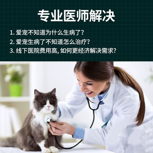 免费宠物医生在线咨询网,免费宠物医生在线问答