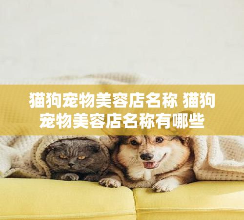 猫狗宠物美容店名称 猫狗宠物美容店名称有哪些