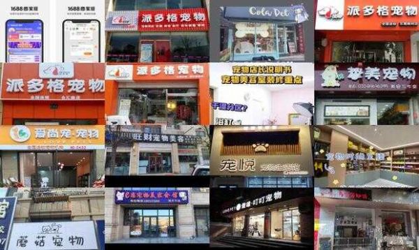 宠物美容店开在哪里好