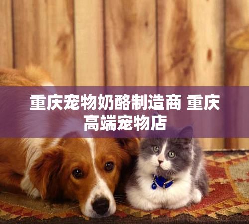 重庆宠物奶酪制造商 重庆高端宠物店