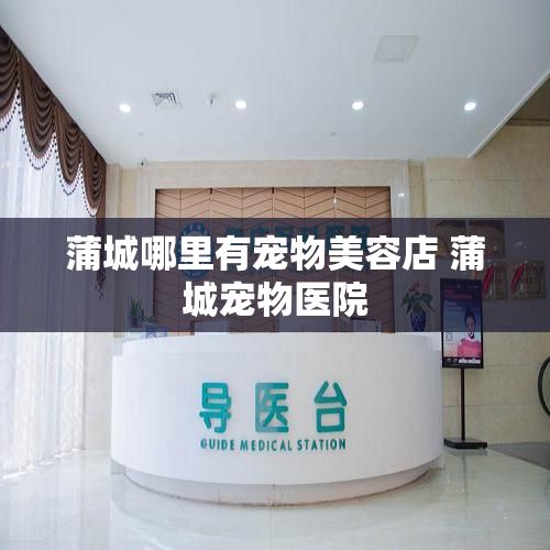 蒲城哪里有宠物美容店 蒲城宠物医院