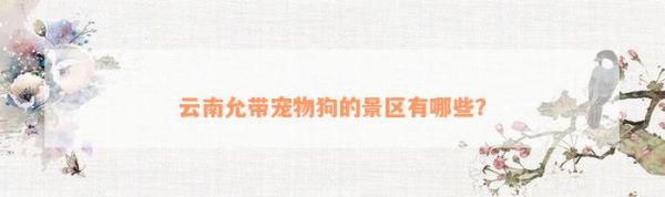 云南允带宠物狗的景区有哪些？