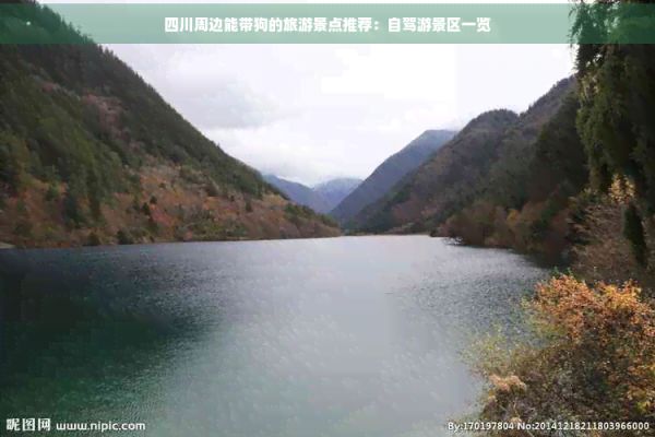 四川周边能带狗的旅游景点推荐：自驾游景区一览