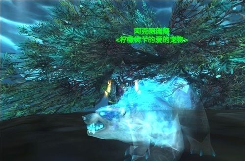 wowtbc猎人稀有宠物哪有几只_魔兽世界tbc猎人可获得稀有宠物一览