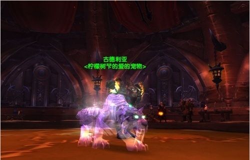 wowtbc猎人稀有宠物哪有几只_魔兽世界tbc猎人可获得稀有宠物一览