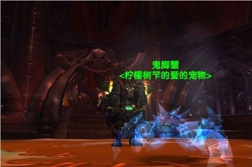 wowtbc猎人稀有宠物哪有几只_魔兽世界tbc猎人可获得稀有宠物一览