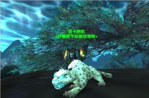wowtbc猎人稀有宠物哪有几只