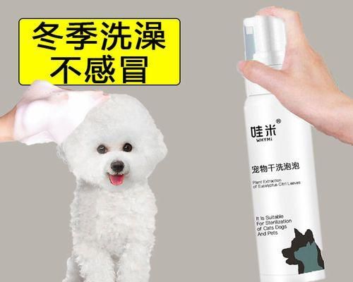 解密狗狗干洗粉，清洁宠物毛发新选择（一款绿色环保的宠物清洁神器）