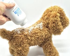 幼犬可用干洗粉洗澡吗？（干洗粉洗澡的优点与注意事项）