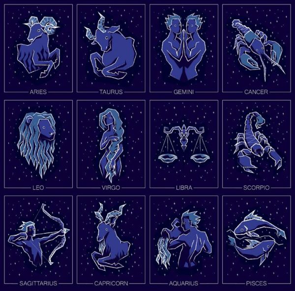 十二星座专属翅膀，十二星座专属宠物