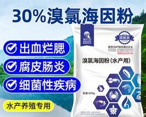 养殖鱼出血咋办？用什么药最好？