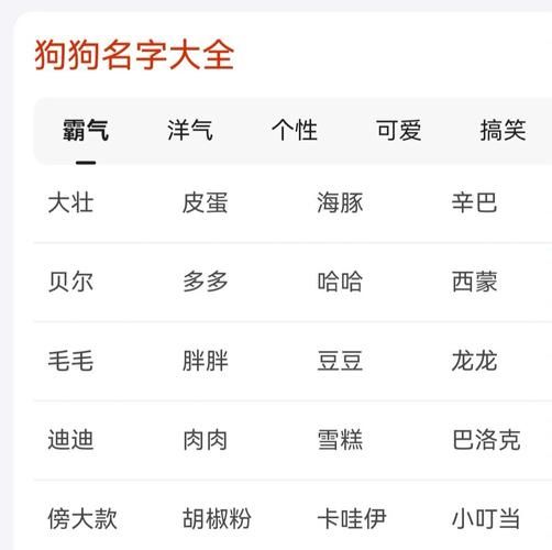 宠物狗名字大全萌萌哒男孩霸气_宠物狗名字大全萌萌哒男孩霸气可爱
