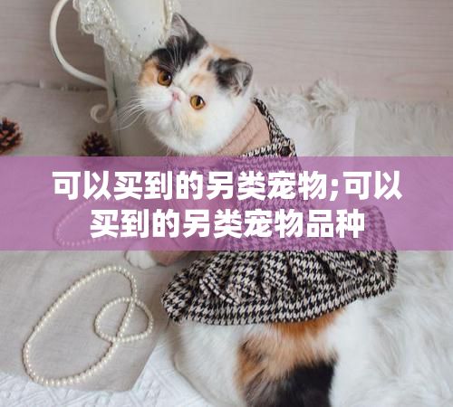 可以买到的另类宠物;可以买到的另类宠物品种