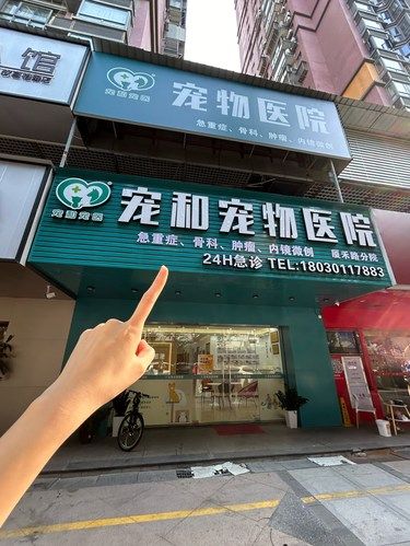 来宠和给毛孩子做绝育，真的很放心！