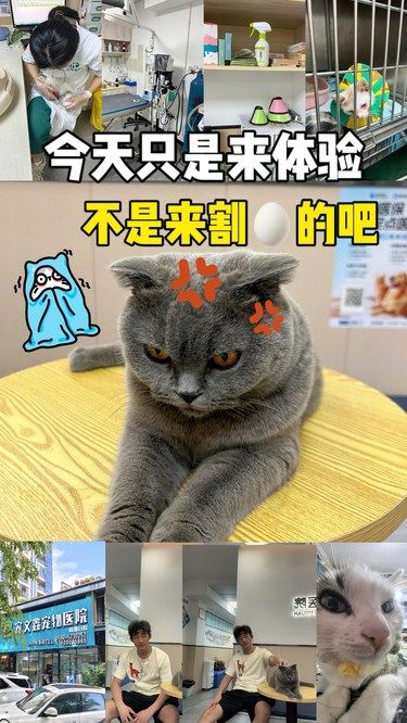 厦门万象城这家宠物医院，真心不错