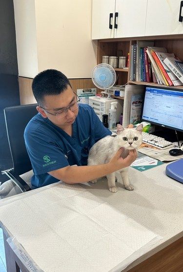 一岁半小猫吃不胖的原因？！