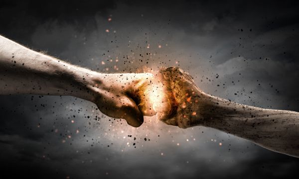 喂养纠纷：如何化解家庭宠物饲养中的矛盾与冲突图1