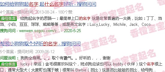 宠物狗的名字适合叫什么