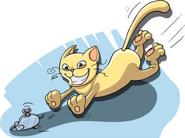 捉老鼠的猫怎么养_捉老鼠宠物猫训练方法_训练宠物猫捉老鼠