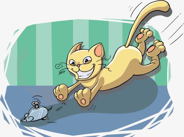 捉老鼠宠物猫训练方法_训练宠物猫捉老鼠_捉老鼠的猫怎么养