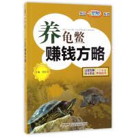养龟鳖赚钱方略