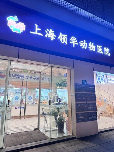 我带小狗去做新宠体检啦！！