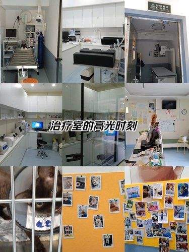 医疗环境超级给力