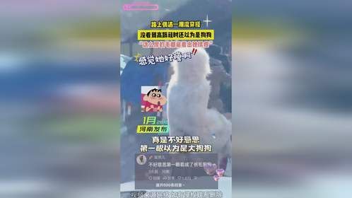 路上偶遇一潮流穿搭，没看到高跟鞋时还以为是狗狗