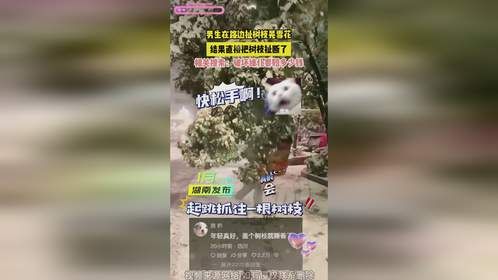 男生在路边扯树枝晃雪花，结果直接把树枝扯断了